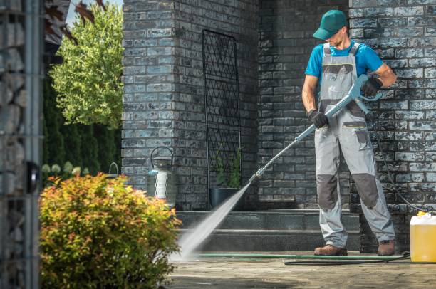 Best Building Exterior Washing  in Cheat Lake, WV
